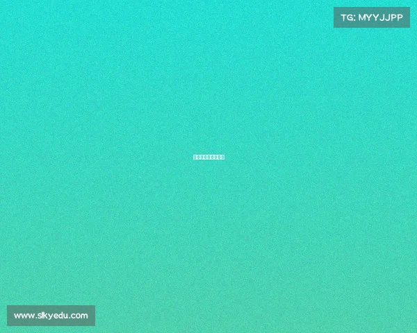 昆仑决出场费和奖金